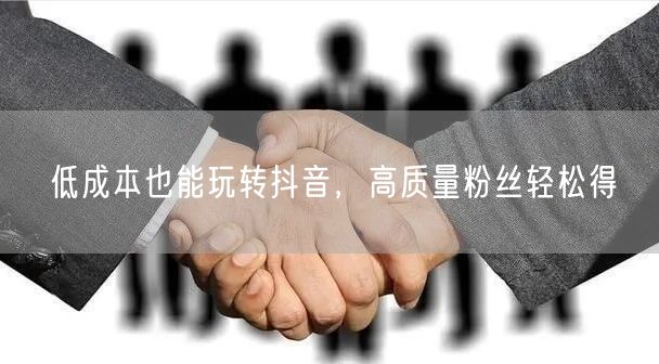 低成本也能玩转抖音，高质量粉丝轻松得