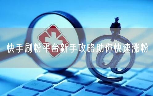 快手刷粉平台新手攻略助你快速涨粉