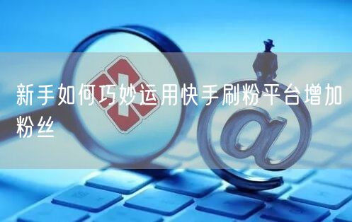 新手如何巧妙运用快手刷粉平台增加粉丝