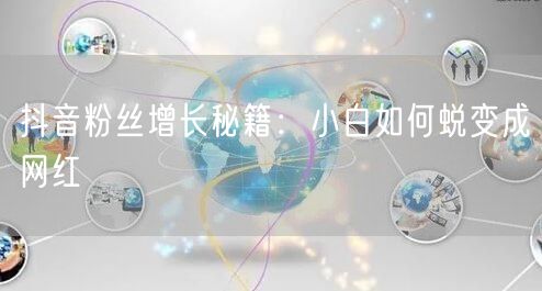 抖音粉丝增长秘籍：小白如何蜕变成网红