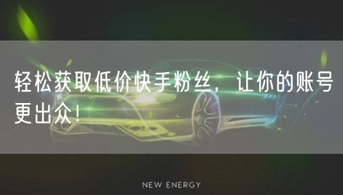 轻松获取低价快手粉丝，让你的账号更出众！