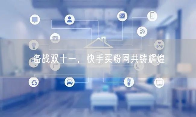 备战双十一，快手买粉网共铸辉煌